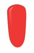 ZAROWA (limited edition)